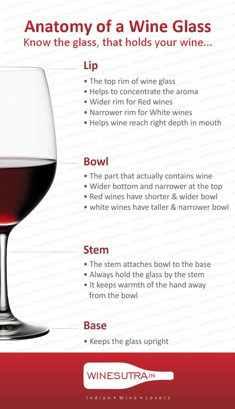 anatomy-of-a-wine-glass-winesutra