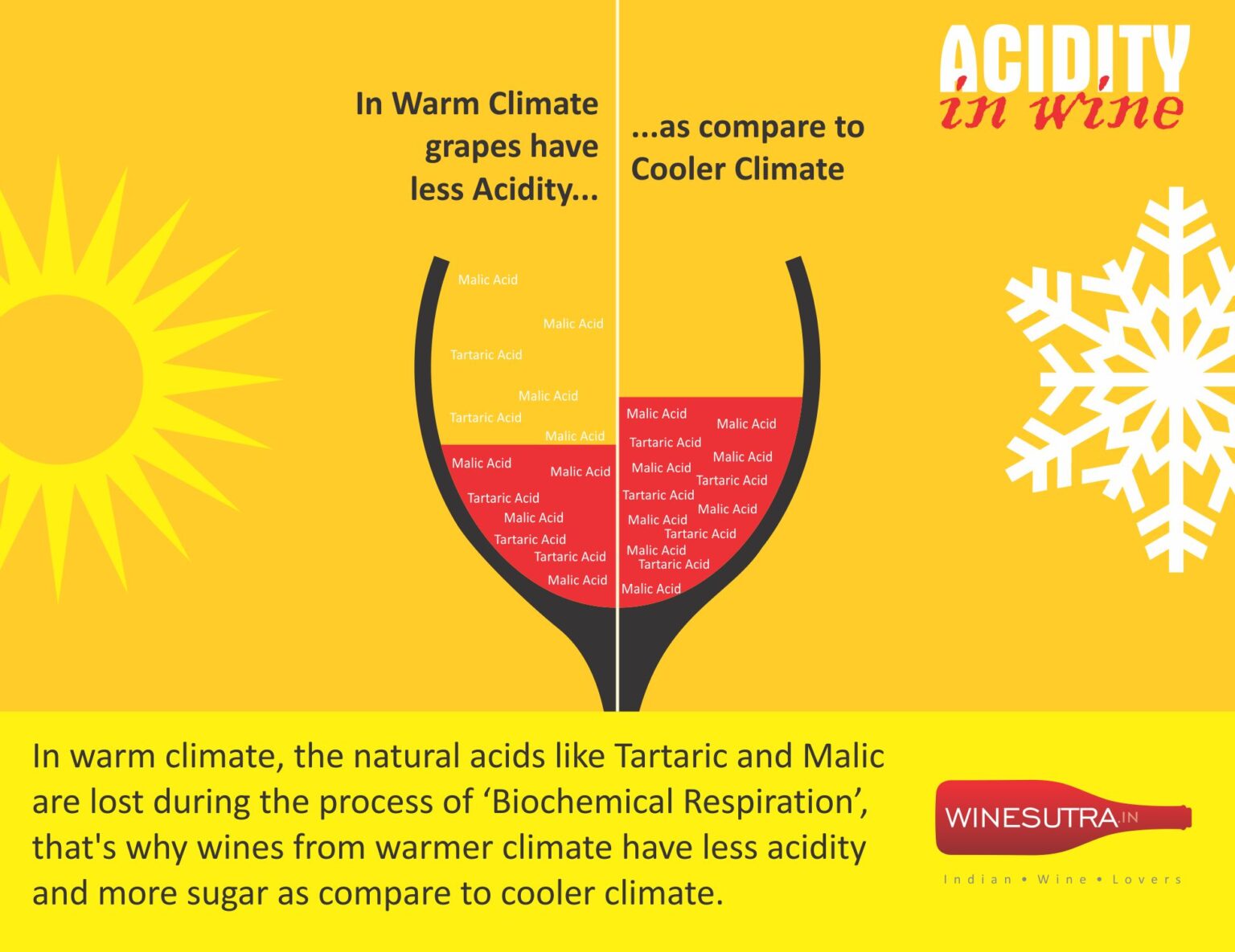 What Does High Acidity In Wine Mean