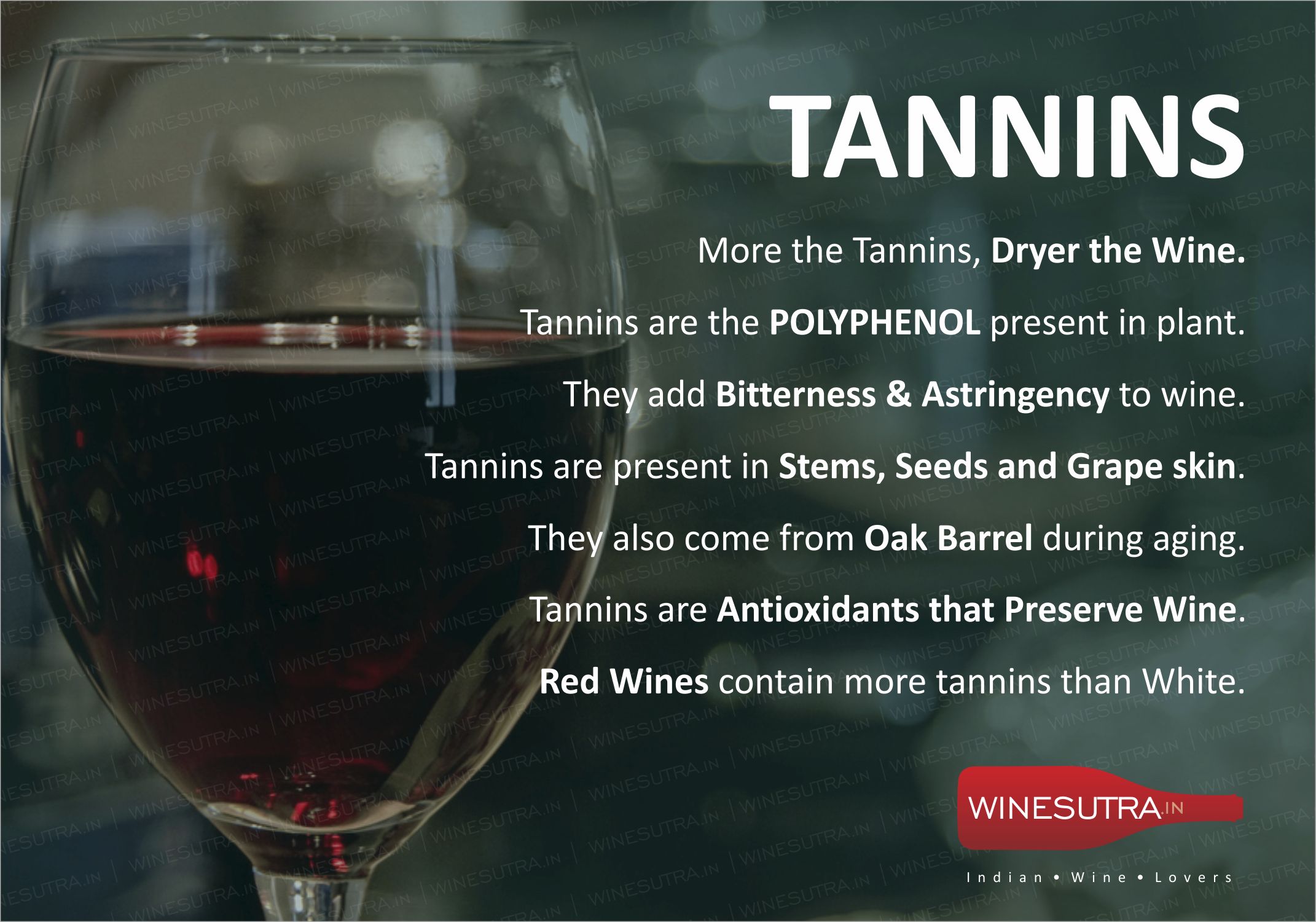 Красное вино болит голова. Tannins. Вино боли. Winemine.